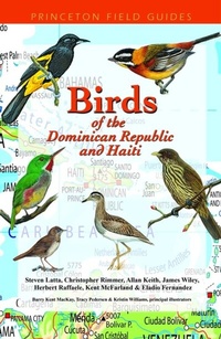 Abbildung von: Birds of the Dominican Republic and Haiti - Princeton University Press