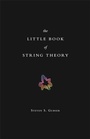Cover: The Little Book of String Theory - Princeton University Press