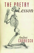 Cover: The Poetry Lesson - Princeton University Press