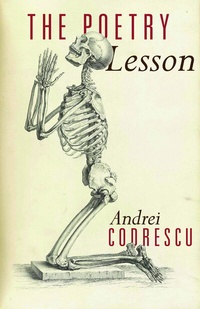 Enlarge image Cover: The Poetry Lesson - Princeton University Press
