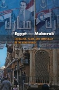 Cover: Egypt after Mubarak - Princeton University Press