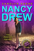 Cover: The Perfect Escape: Volume 32 - Aladdin