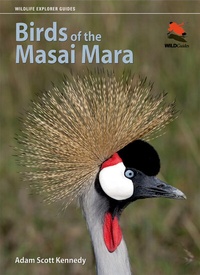 Abbildung von: Birds of the Masai Mara - Princeton University Press
