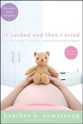 Cover: It Sucked and Then I Cried - Gallery Books