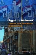 Cover: Egypt after Mubarak - Princeton University Press