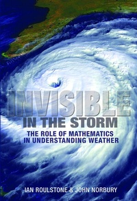 Abbildung von: Invisible in the Storm - Princeton University Press