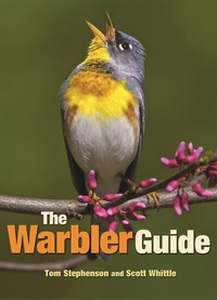 Abbildung von: The Warbler Guide - Princeton University Press