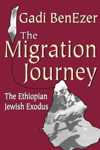 Enlarge image Cover: The Migration Journey - Routledge