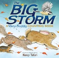 Cover: The Big Storm - Simon & Schuster Books for Young Readers