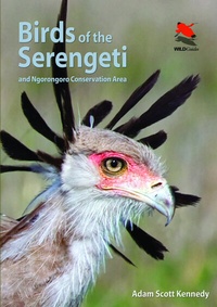 Abbildung von: Birds of the Serengeti - Princeton University Press