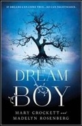 Cover: Dream Boy - Sourcebooks, Inc