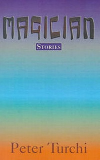 Enlarge image Cover: Magician - Xlibris Corporation
