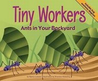Enlarge image Cover: Tiny Workers - Picture Window Books