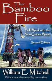 Enlarge image Cover: The Bamboo Fire - Routledge
