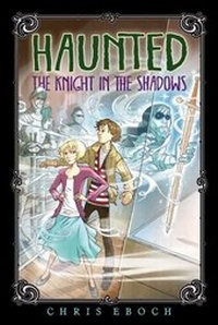 Enlarge image Cover: The Knight in the Shadows - Aladdin