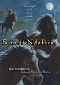 Cover: Secret of the Night Ponies - Margaret K. McElderry Books