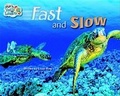 Cover: Steck-Vaughn Pair-It Turn and Learn Emergent 1 - Steck-Vaughn