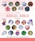 Cover: The Angel Bible - Union Square & Co.