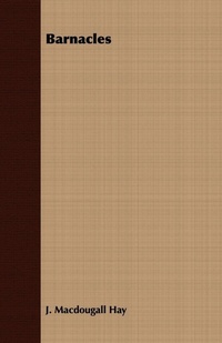 Enlarge image Cover: Barnacles - Read Books