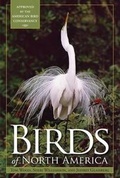 Cover: Birds of North America - Sterling