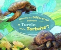 Cover: What's the Difference Between a Turtle and a Tortoise? - Picture Window Books