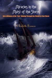 Enlarge image Cover: Miracles in the Midst of the Storm - AuthorHouse
