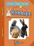 Cover: Rabbits - Raintree