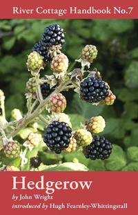 Enlarge image Cover: Hedgerow - Bloomsbury Publishing PLC