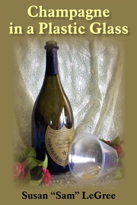 Abbildung von: Champagne in a Plastic Glass - AuthorHouse