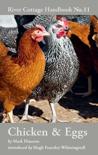 Abbildung von: Chicken & Eggs - Bloomsbury Publishing PLC