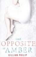 Cover: The Opposite of Amber - Bloomsbury Childrens Books