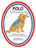 Cover: POLO The Golden Retriever/Achiever - AuthorHouse