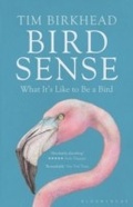 Cover: Bird Sense - Bloomsbury Publishing PLC