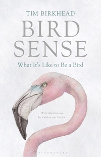 Enlarge image Cover: Bird Sense - Bloomsbury Publishing PLC