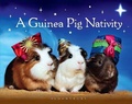 Cover: A Guinea Pig Nativity - Bloomsbury Publishing PLC