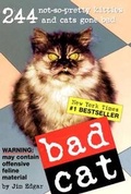 Cover: Bat Cat: 244 Not-So-Pretty Kitties and Cats Gone Bad - Turtleback Books