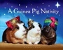 Cover: A Guinea Pig Nativity - Bloomsbury Publishing PLC