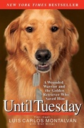 Cover: Until Tuesday - Hyperion