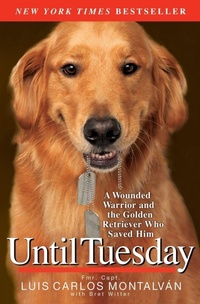 Enlarge image Cover: Until Tuesday - Hyperion