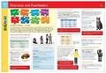 Cover: Grammar and Punctuation FlashCharts - Barnes & Noble Books