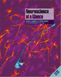 Abbildung von: Neuroscience at a Glance - Wiley-Blackwell