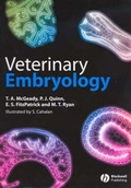Bild: Veterinary Embryology - Wiley-Blackwell