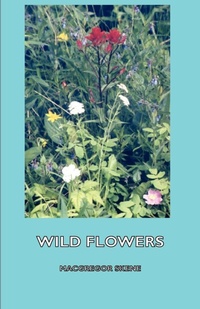 Abbildung von: Wild Flowers - Read Books