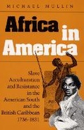 Cover: Africa in America - University of Illinois Press