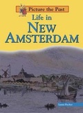 Cover: Life in New Amsterdam - Heinemann Educational Books