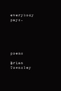 Cover: Everybody Pays. - Lulu.com