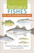 Cover: Field Guide to Fishes of the Chesapeake Bay - Johns Hopkins University Press
