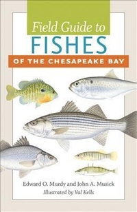 Abbildung von: Field Guide to Fishes of the Chesapeake Bay - Johns Hopkins University Press