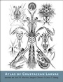 Cover: Atlas of Crustacean Larvae - Johns Hopkins University Press