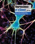 Cover: Neuroscience at a Glance - Wiley-Blackwell